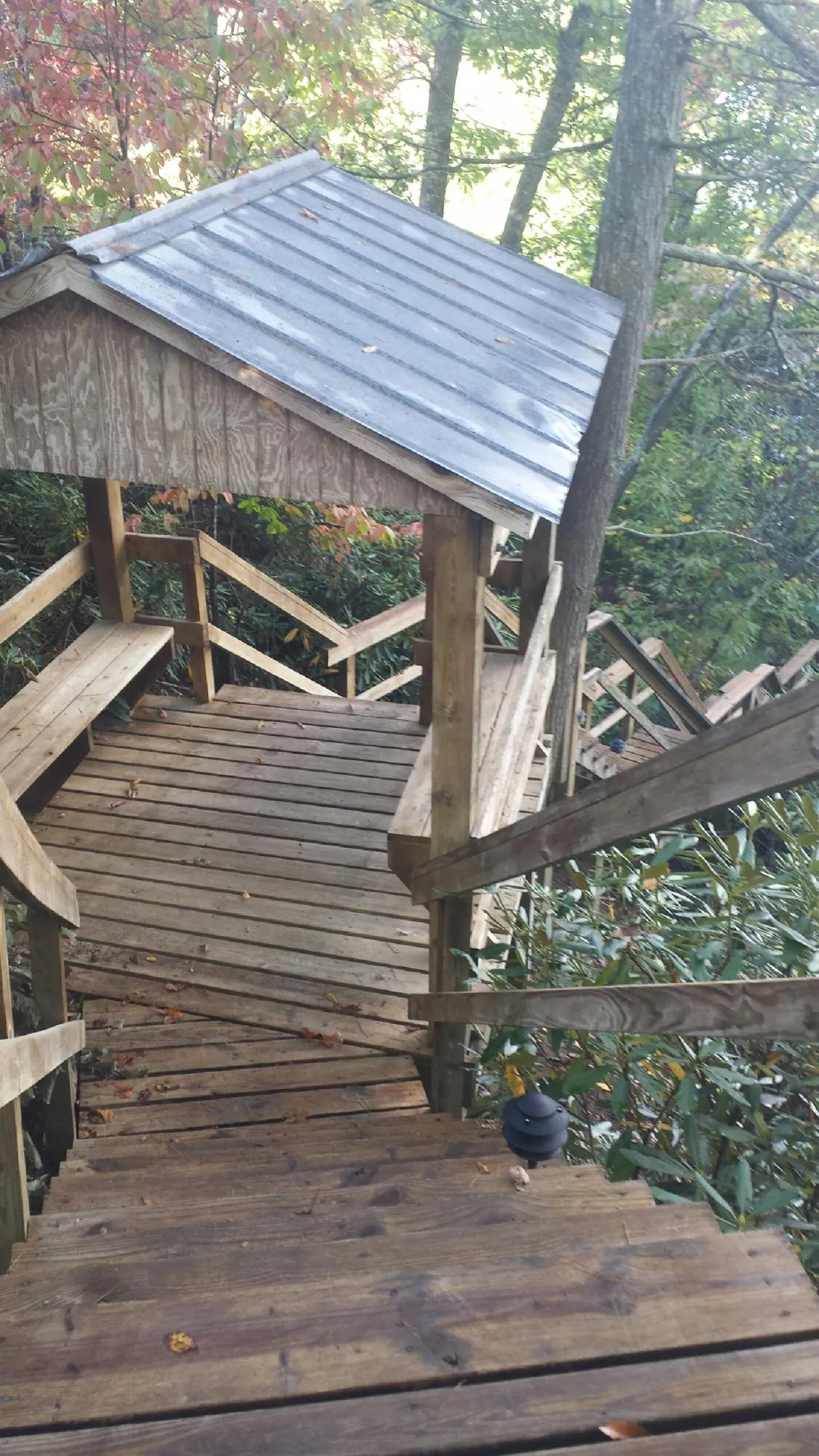 Metal roofed shelter over wooden steps on a wooded walkway — Skylight Repair & Installation work by our crew in Knights Landing