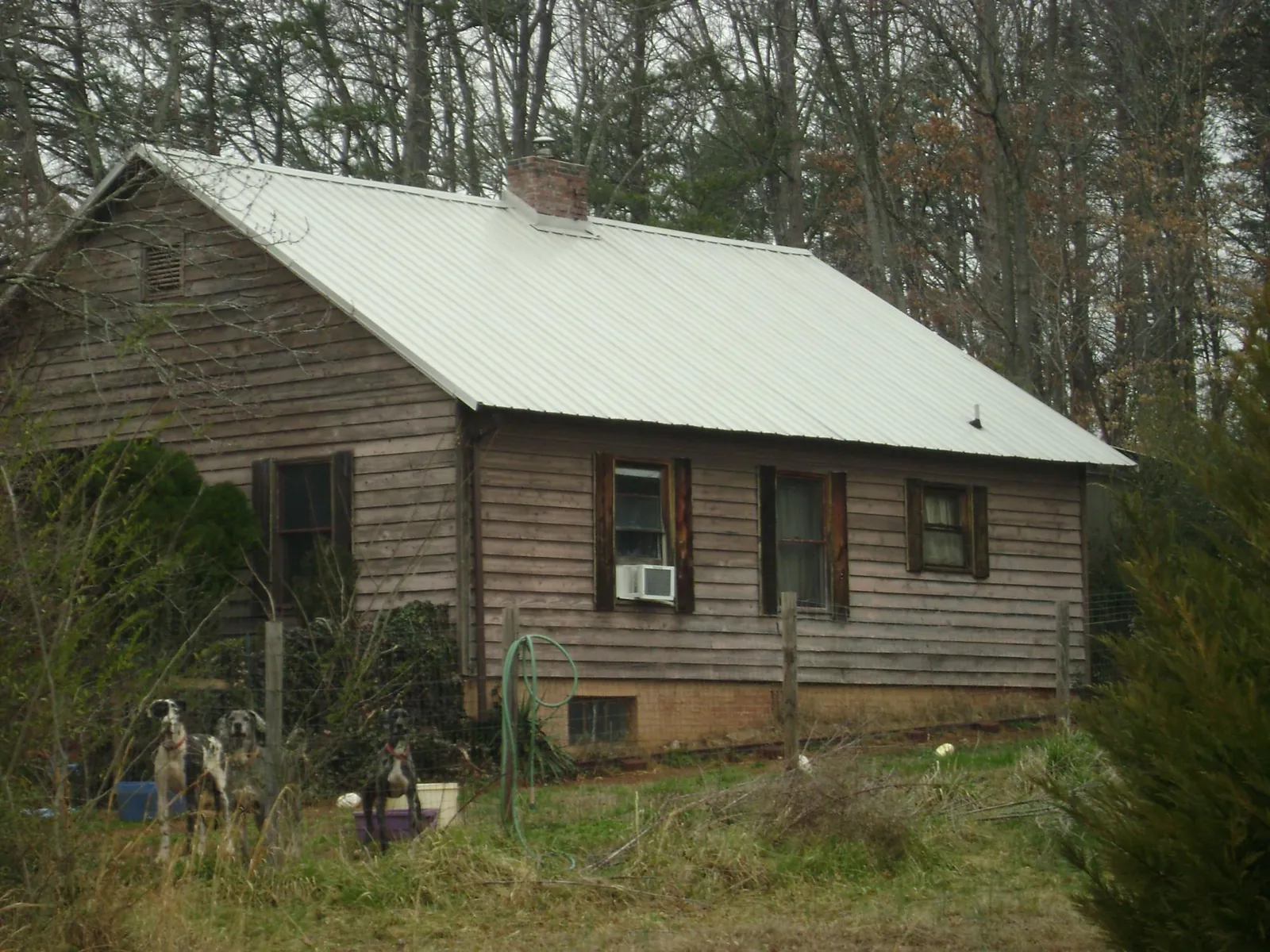 White metal roof on an old wood sided farmhouse, from a Asphalt Shingle Roof Repair job in Knights Landing